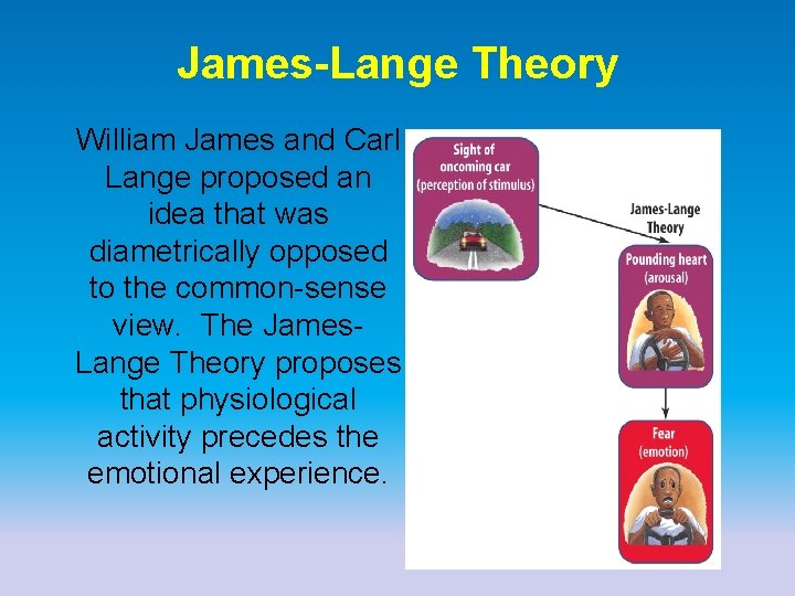 James-Lange Theory William James and Carl Lange proposed an idea that was diametrically opposed