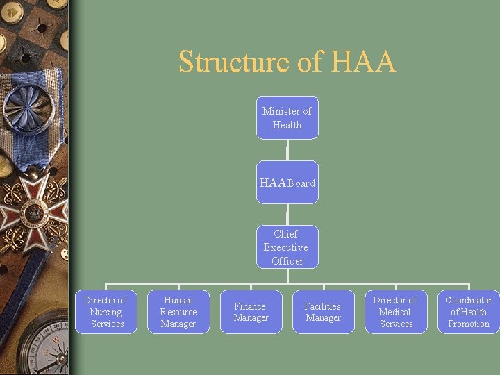 Structure of HAA Minister of Health HAA Board Chief Executive Officer Director of Nursing