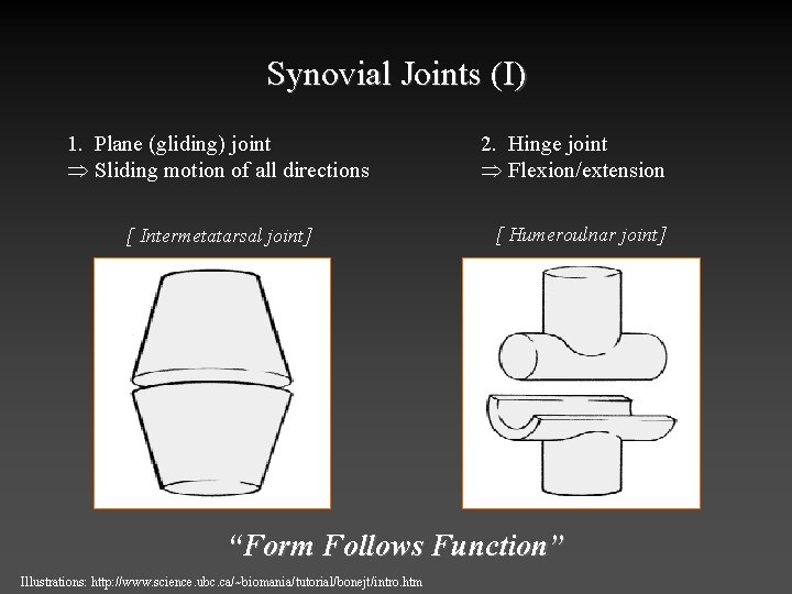 Synovial Joints (I) 1. Plane (gliding) joint Þ Sliding motion of all directions [