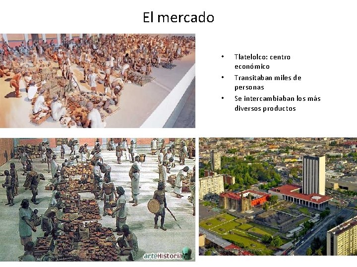 El mercado • • • Tlatelolco: centro económico Transitaban miles de personas Se intercambiaban