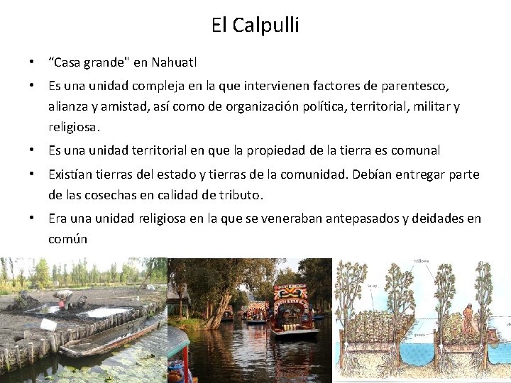 El Calpulli • “Casa grande" en Nahuatl • Es una unidad compleja en la