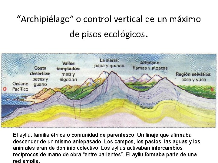 “Archipiélago” o control vertical de un máximo de pisos ecológicos. El ayllu: familia étnica