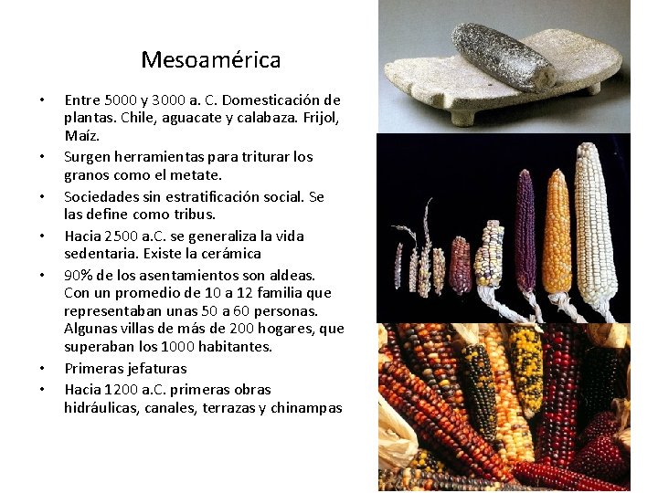 Mesoamérica • • Entre 5000 y 3000 a. C. Domesticación de plantas. Chile, aguacate