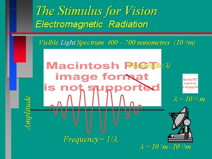 The Stimulus for Vision Electromagnetic Radiation Visible Light Spectrum 400 – 700 nanometres (10 The Stimulus for Vision Electromagnetic Radiation Visible Light Spectrum 400 – 700 nanometres (10