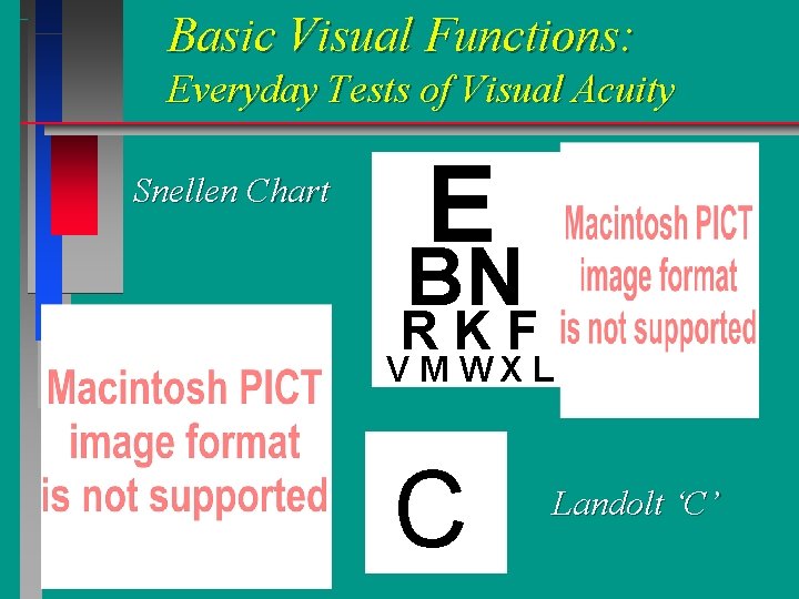 Basic Visual Functions: Everyday Tests of Visual Acuity Snellen Chart E BN RKF V Basic Visual Functions: Everyday Tests of Visual Acuity Snellen Chart E BN RKF V