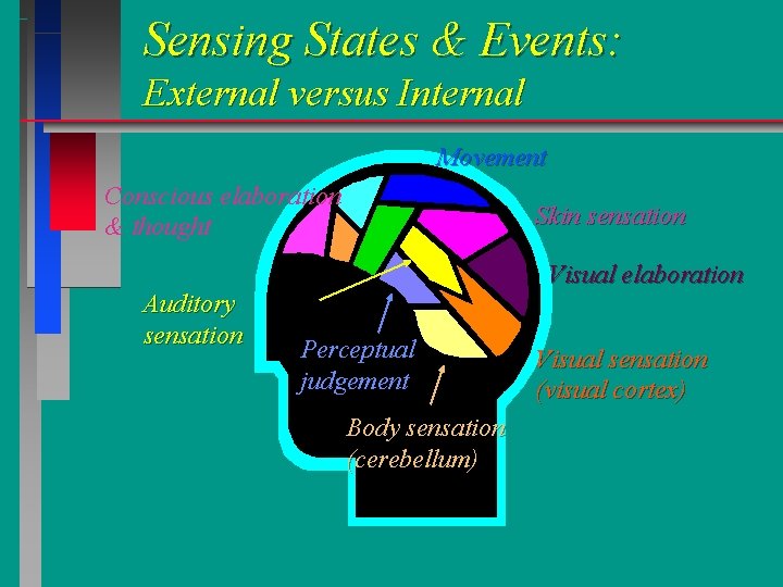 Sensing States & Events: External versus Internal Movement Conscious elaboration & thought Skin sensation Sensing States & Events: External versus Internal Movement Conscious elaboration & thought Skin sensation