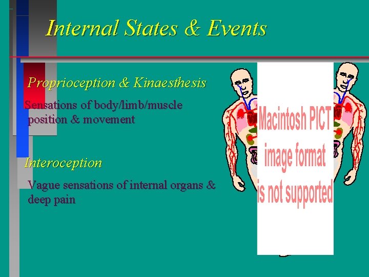 Internal States & Events Proprioception & Kinaesthesis Sensations of body/limb/muscle position & movement Interoception Internal States & Events Proprioception & Kinaesthesis Sensations of body/limb/muscle position & movement Interoception