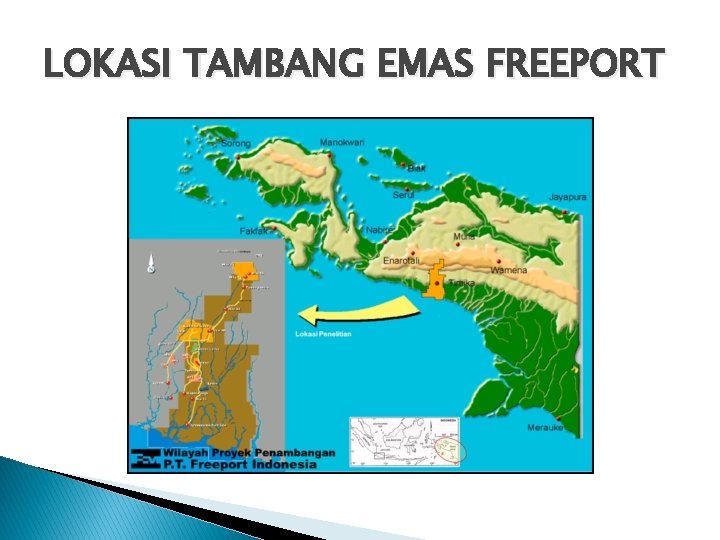 LOKASI TAMBANG EMAS FREEPORT 