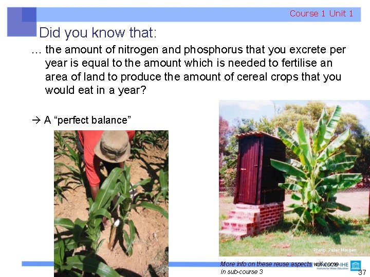 Course 1 Unit 1 Did you know that: … the amount of nitrogen and