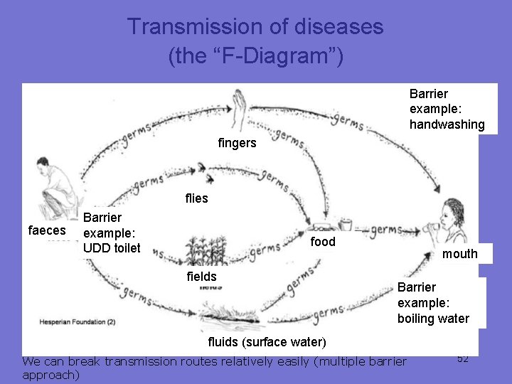 Transmission of diseases (the “F-Diagram”) Barrier example: handwashing fingers flies faeces Barrier example: UDD