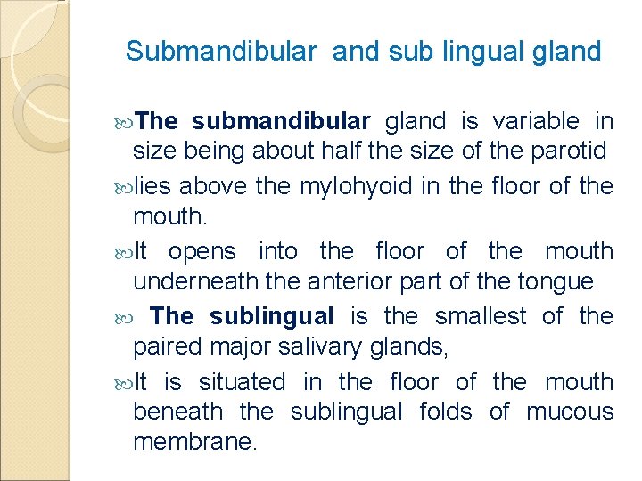Submandibular and sub lingual gland The submandibular gland is variable in size being about
