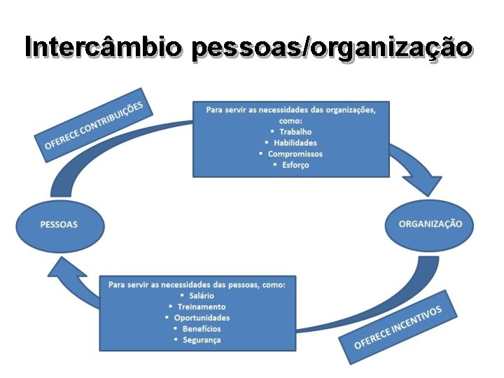 Intercâmbio pessoas/organização 