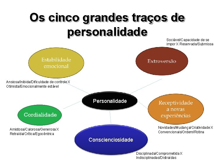 Os cinco grandes traços de personalidade Sociável/Capacidade de se impor X Reservada/Submissa Ansiosa/Inibida/Dificuldade de