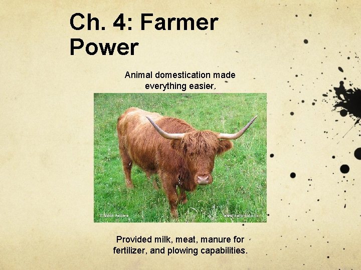 Ch. 4: Farmer Power Animal domestication made everything easier. Provided milk, meat, manure for