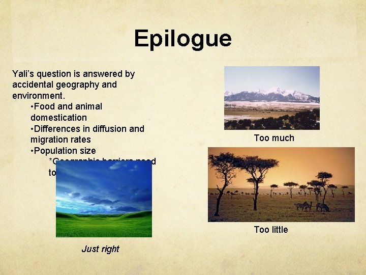 Epilogue Yali’s question is answered by accidental geography and environment. • Food animal domestication