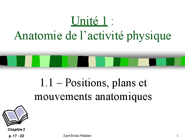 Unité 1 : Anatomie de l’activité physique 1. 1 – Positions, plans et mouvements