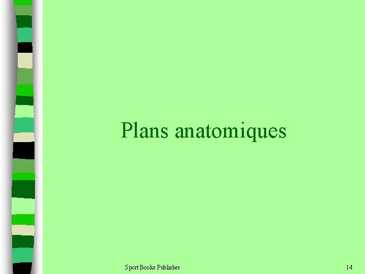 Plans anatomiques Sport Books Publisher 14 