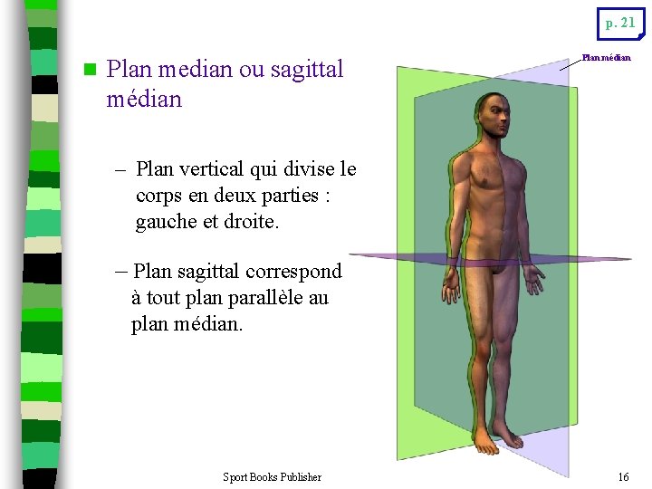 p. 21 n Plan median ou sagittal médian Plan médian – Plan vertical qui