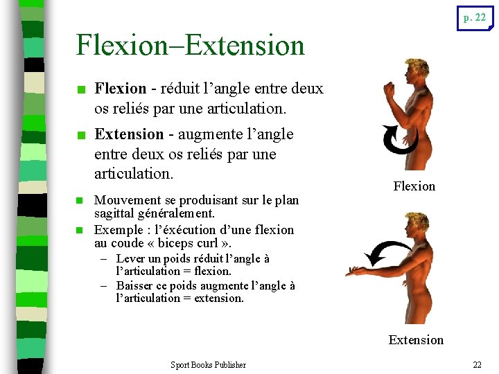 p. 22 Flexion–Extension Flexion - réduit l’angle entre deux os reliés par une articulation.