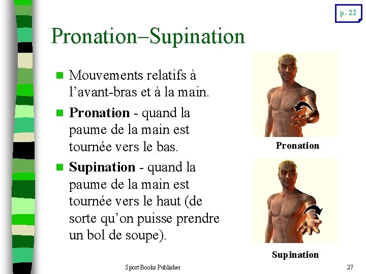 p. 22 Pronation–Supination Mouvements relatifs à l’avant-bras et à la main. n Pronation -