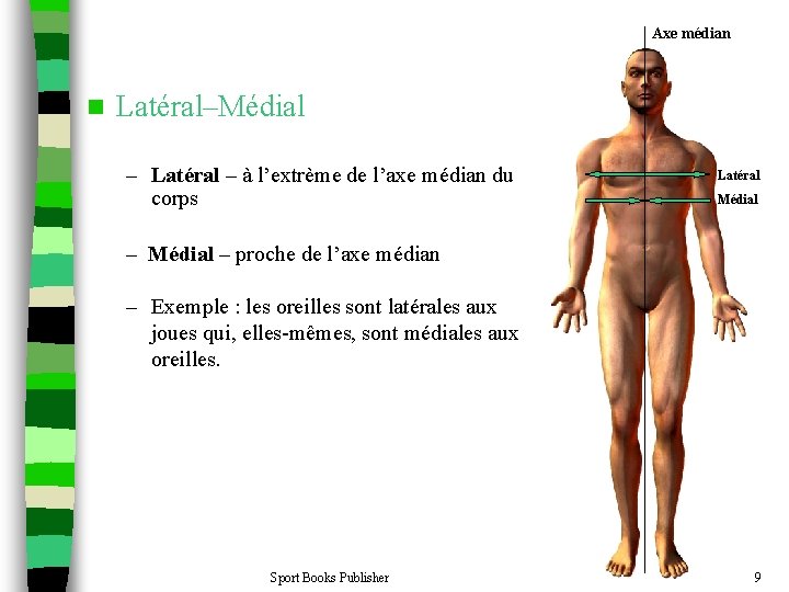 Axe médian n Latéral–Médial – Latéral – à l’extrème de l’axe médian du corps