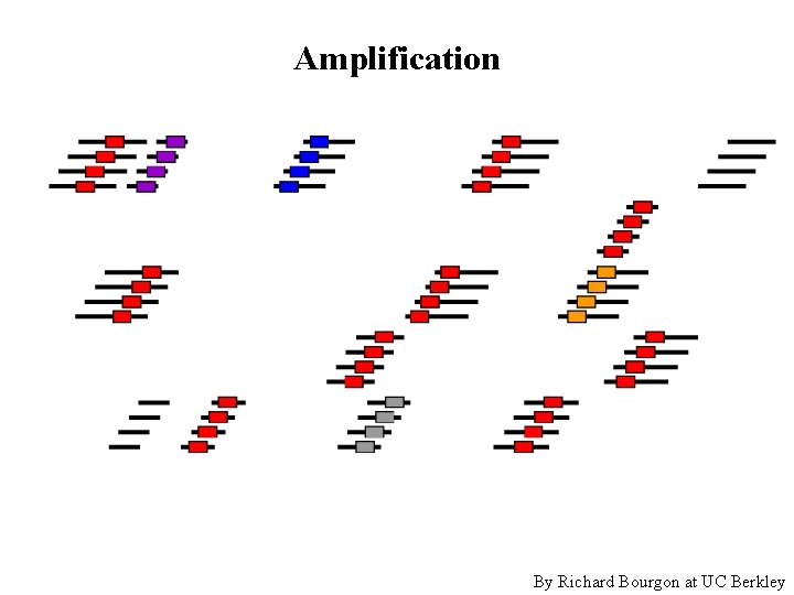 Amplification By Richard Bourgon at UC Berkley 