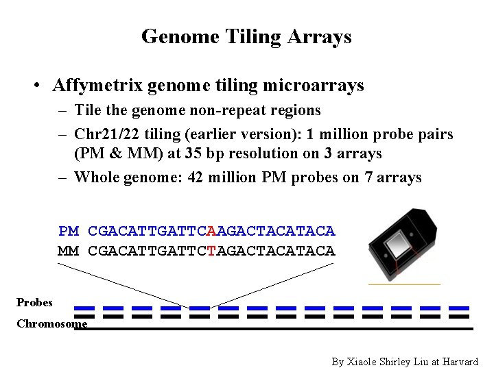 Genome Tiling Arrays • Affymetrix genome tiling microarrays – Tile the genome non-repeat regions