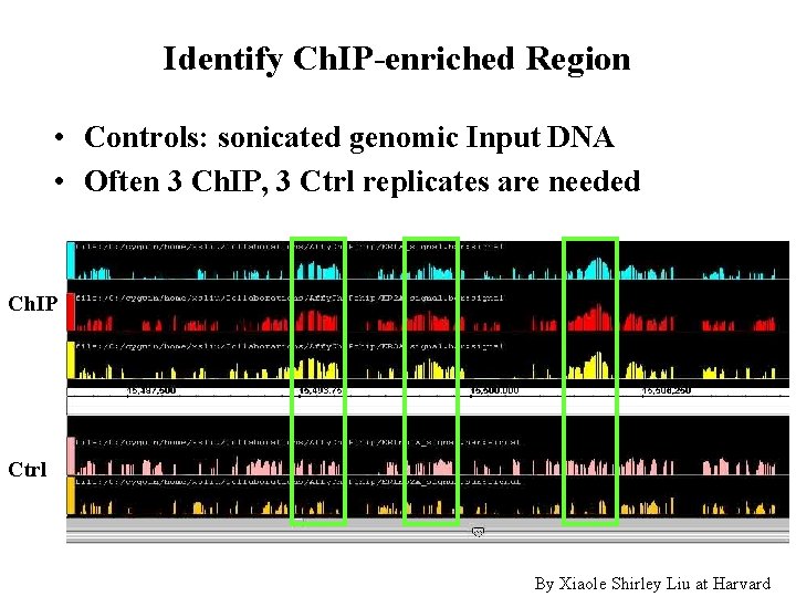 Identify Ch. IP-enriched Region • Controls: sonicated genomic Input DNA • Often 3 Ch.