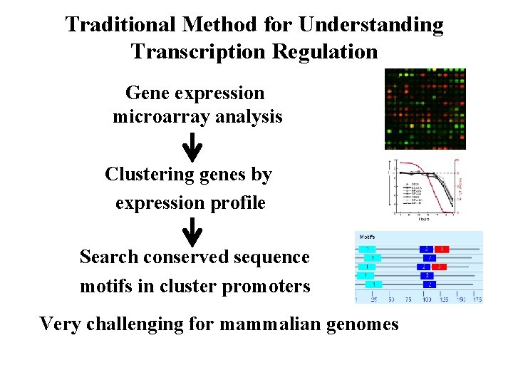 Traditional Method for Understanding Transcription Regulation Gene expression microarray analysis Clustering genes by expression