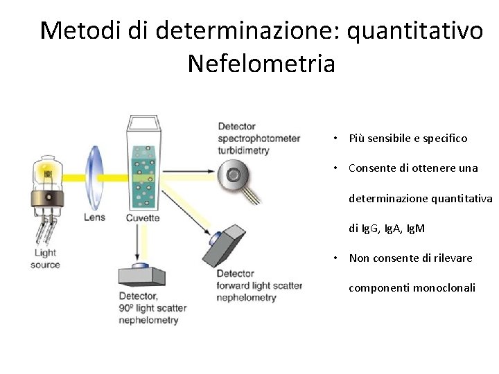 Metodi di determinazione: quantitativo Nefelometria • Più sensibile e specifico • Consente di ottenere