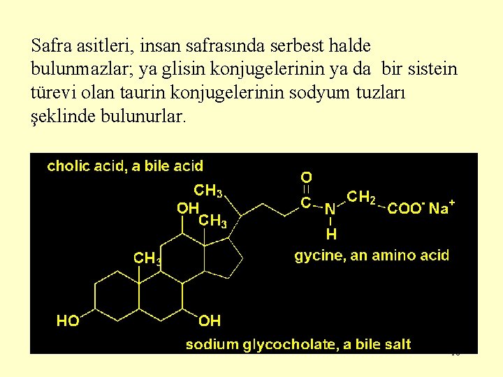 Safra asitleri, insan safrasında serbest halde bulunmazlar; ya glisin konjugelerinin ya da bir sistein