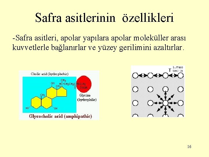 Safra asitlerinin özellikleri -Safra asitleri, apolar yapılara apolar moleküller arası kuvvetlerle bağlanırlar ve yüzey