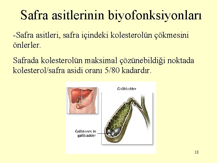 Safra asitlerinin biyofonksiyonları -Safra asitleri, safra içindeki kolesterolün çökmesini önlerler. Safrada kolesterolün maksimal çözünebildiği