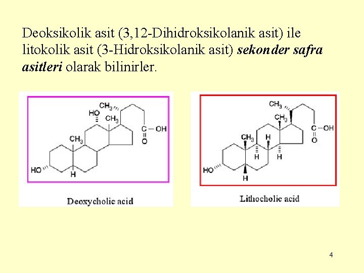 Deoksikolik asit (3, 12 -Dihidroksikolanik asit) ile litokolik asit (3 -Hidroksikolanik asit) sekonder safra