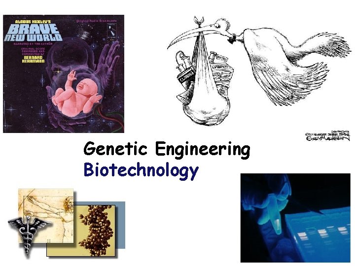 Genetic Engineering Biotechnology 2006 -2007 