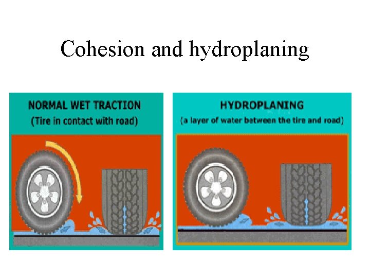 Cohesion and hydroplaning 