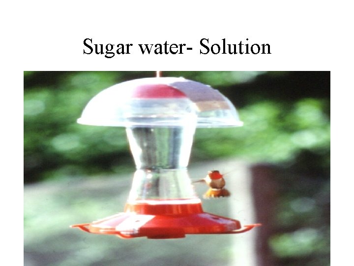 Sugar water- Solution 