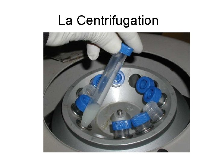 La Centrifugation 
