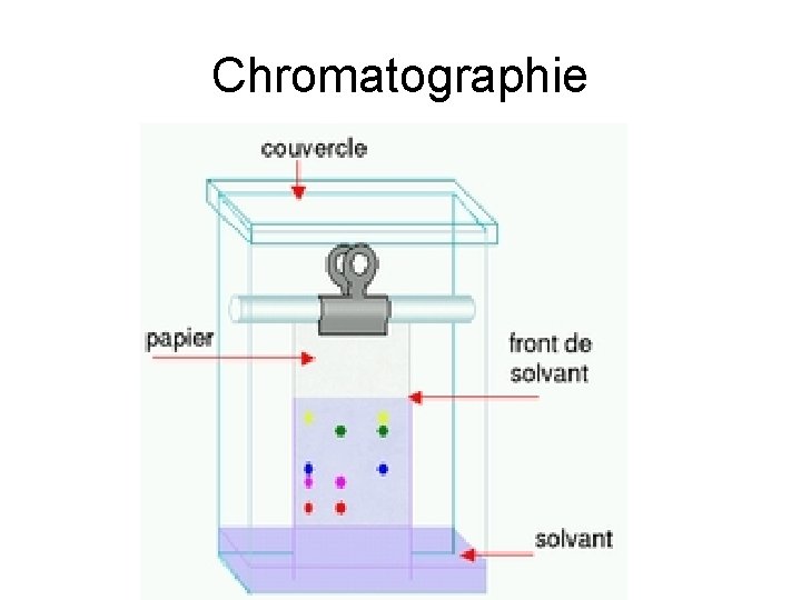 Chromatographie 