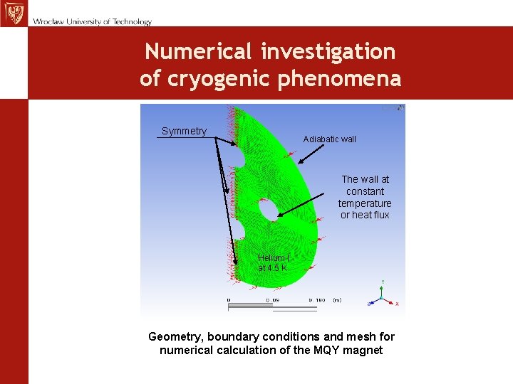 Numerical investigation of cryogenic phenomena Symmetry Adiabatic wall The wall at constant temperature or