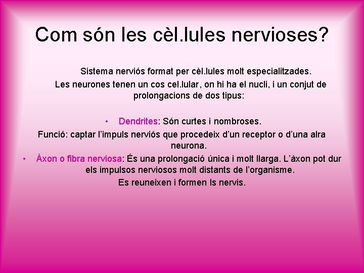 Com són les cèl. lules nervioses? Sistema nerviós format per cèl. lules molt especialitzades.