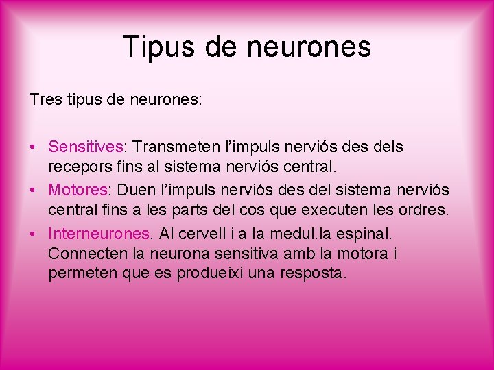 Tipus de neurones Tres tipus de neurones: • Sensitives: Transmeten l’impuls nerviós dels recepors