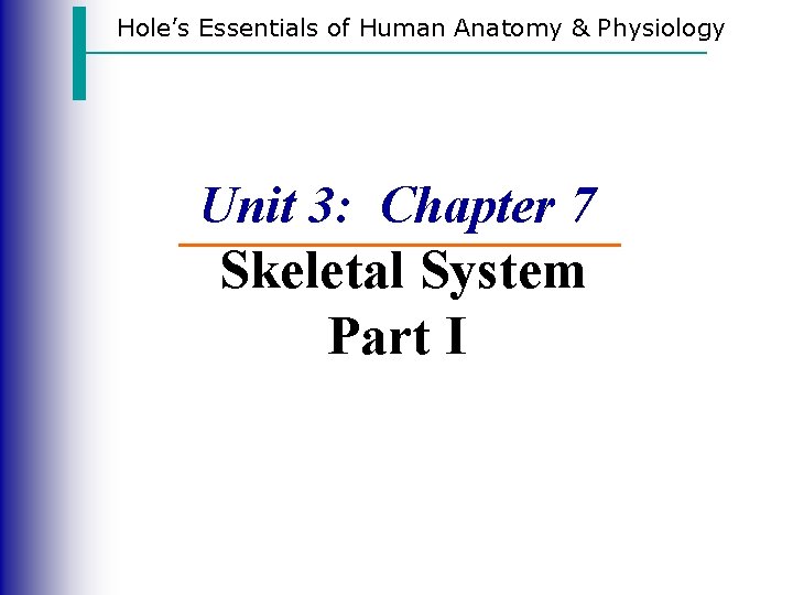 Hole’s Essentials of Human Anatomy & Physiology Unit 3: Chapter 7 Skeletal System Part