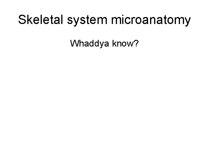 Skeletal system microanatomy Whaddya know? 