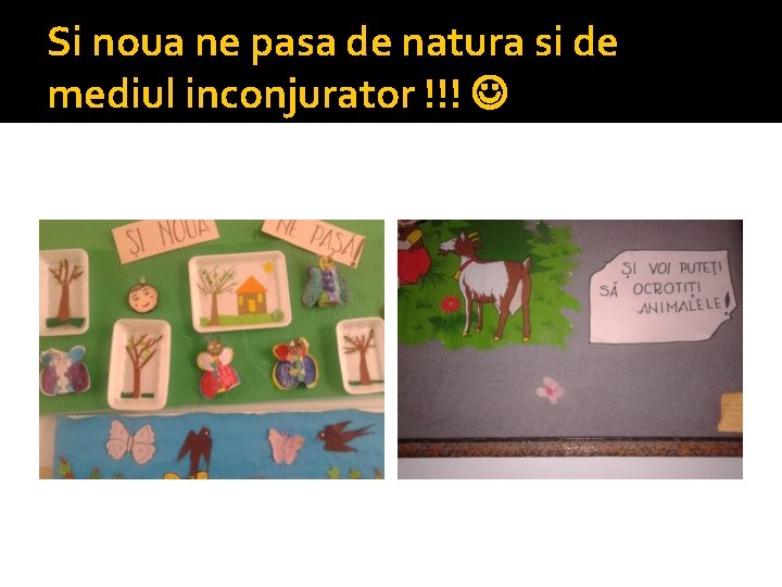 Si noua ne pasa de natura si de mediul inconjurator !!! 