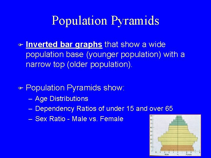 Population Pyramids F Inverted bar graphs that show a wide population base (younger population)