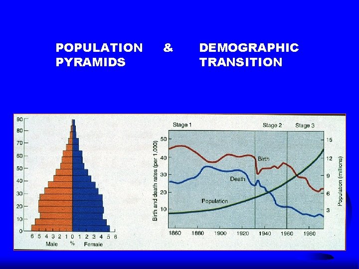 POPULATION PYRAMIDS & DEMOGRAPHIC TRANSITION 