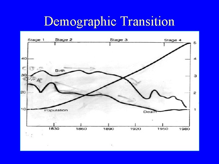 Demographic Transition 