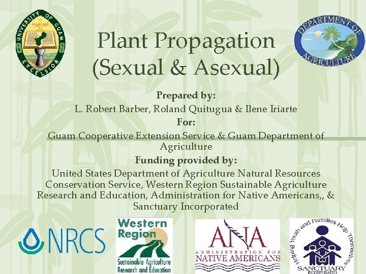 Plant Propagation (Sexual & Asexual) Prepared by: L. Robert Barber, Roland Quitugua & Ilene