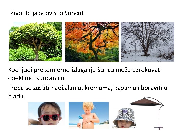 Život biljaka ovisi o Suncu! Kod ljudi prekomjerno izlaganje Suncu može uzrokovati opekline i